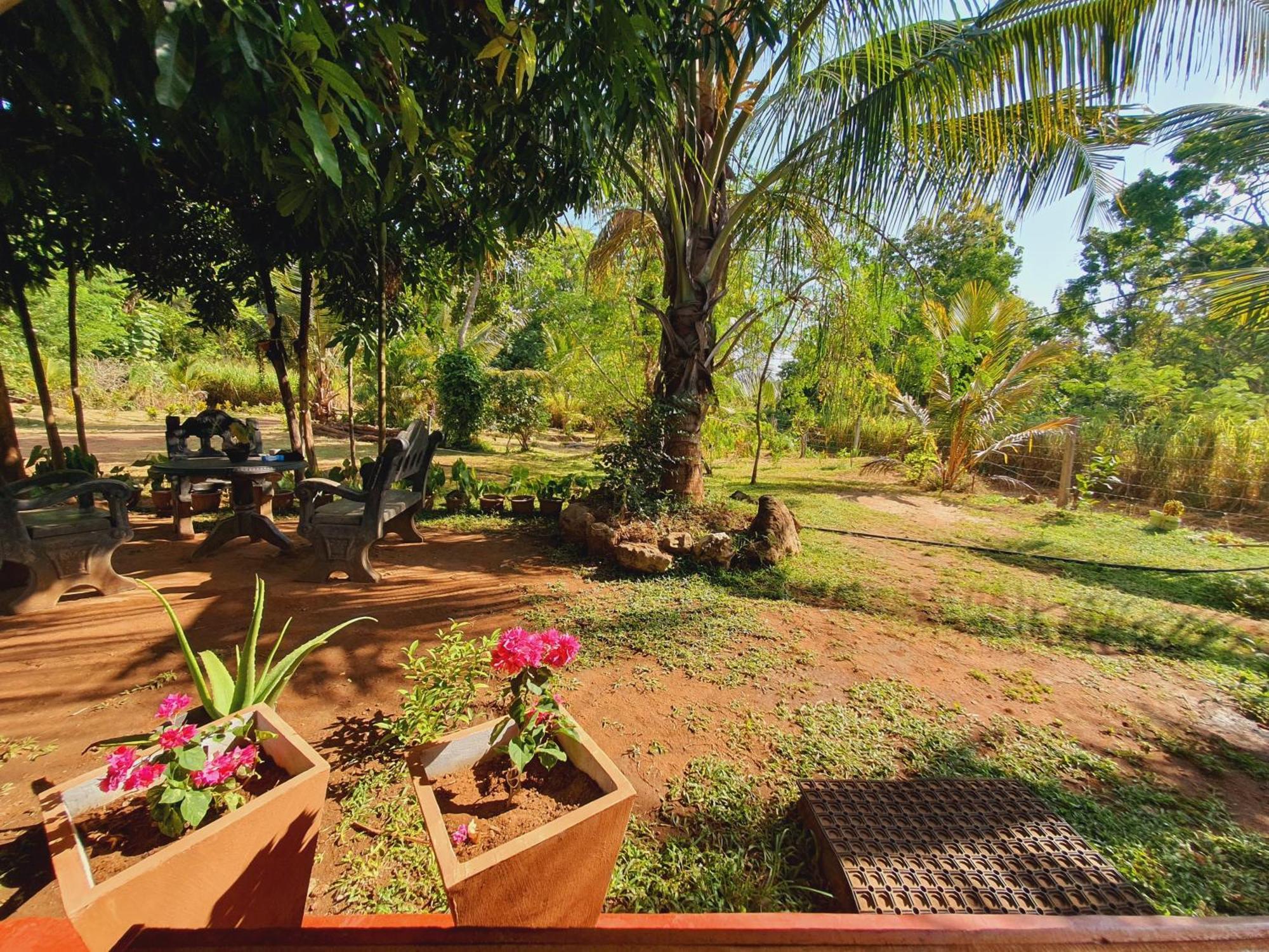 Jungle Eco Lodge & Safari Sigiriya Exterior foto
