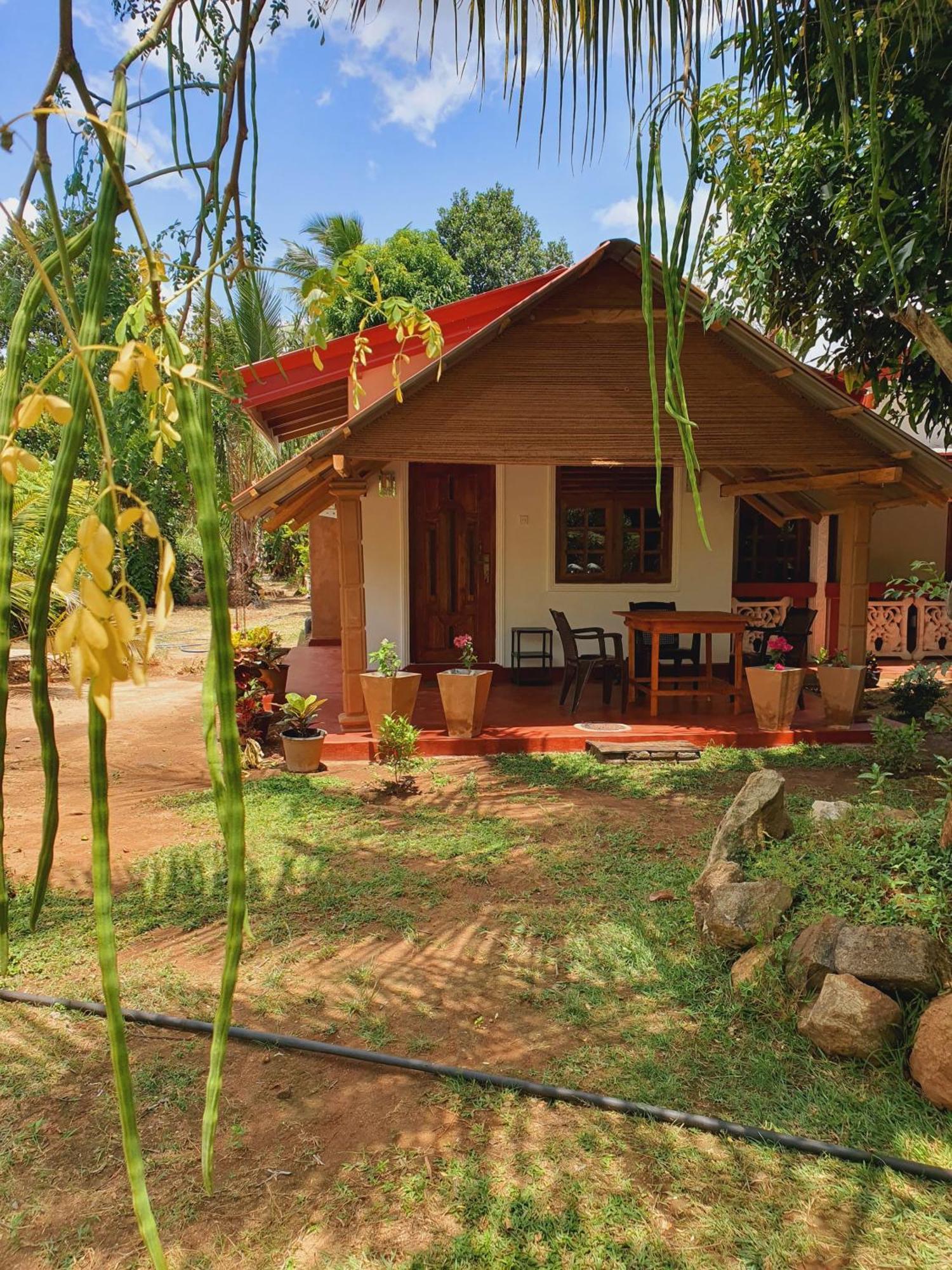 Jungle Eco Lodge & Safari Sigiriya Exterior foto