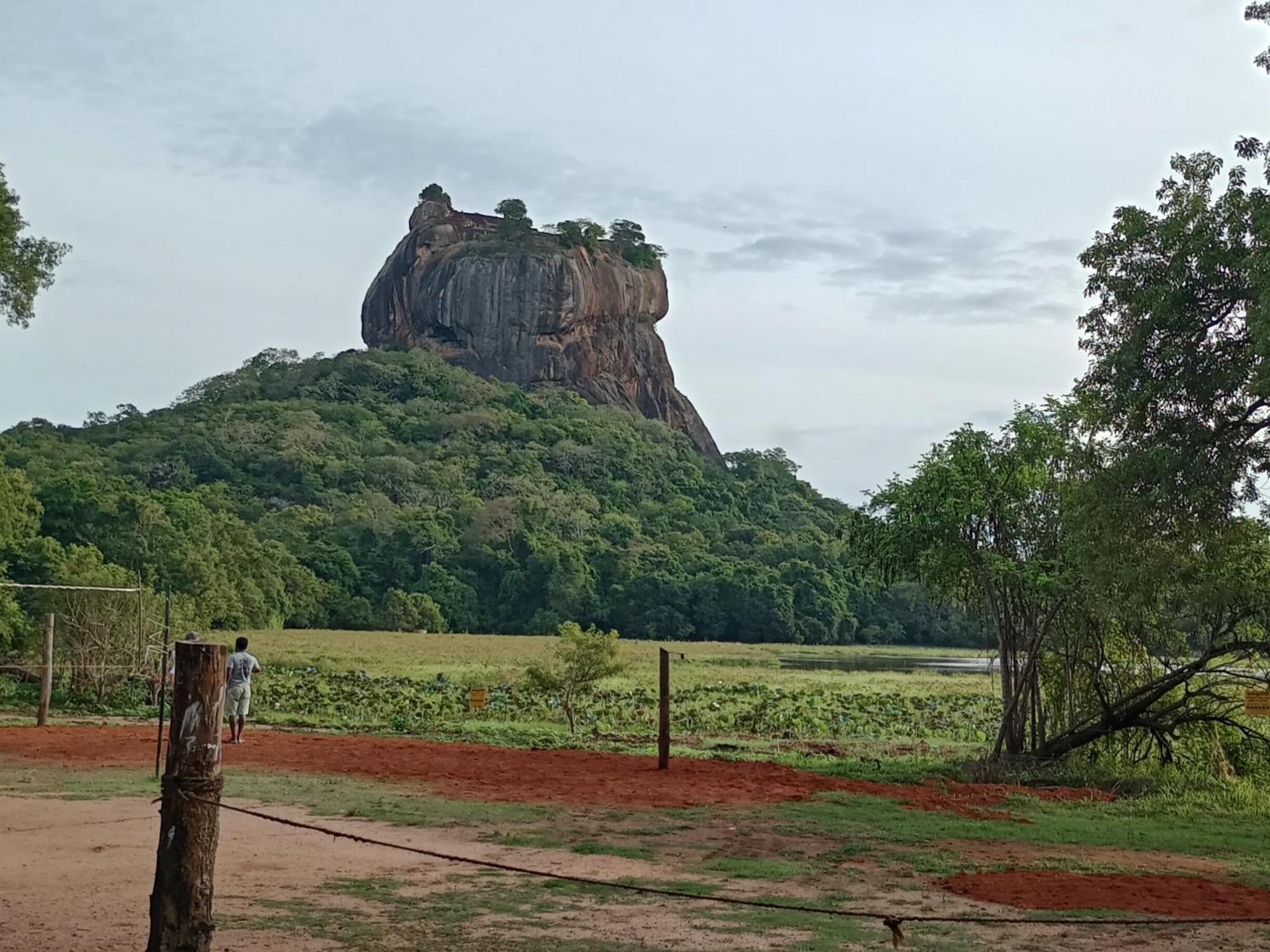 Jungle Eco Lodge & Safari Sigiriya Exterior foto