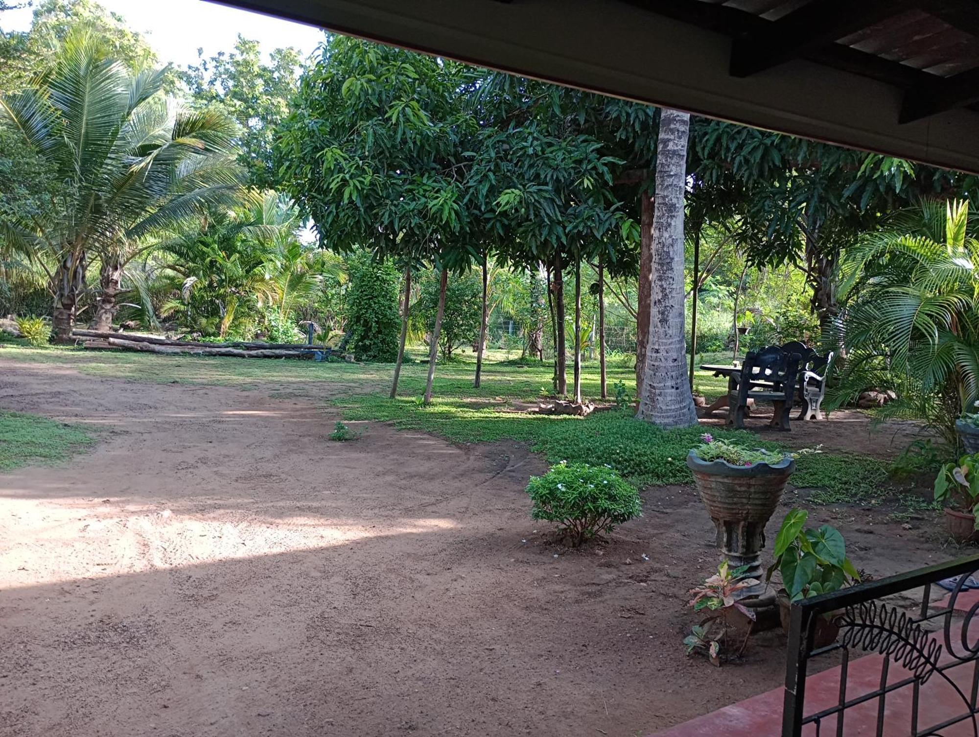 Jungle Eco Lodge & Safari Sigiriya Exterior foto
