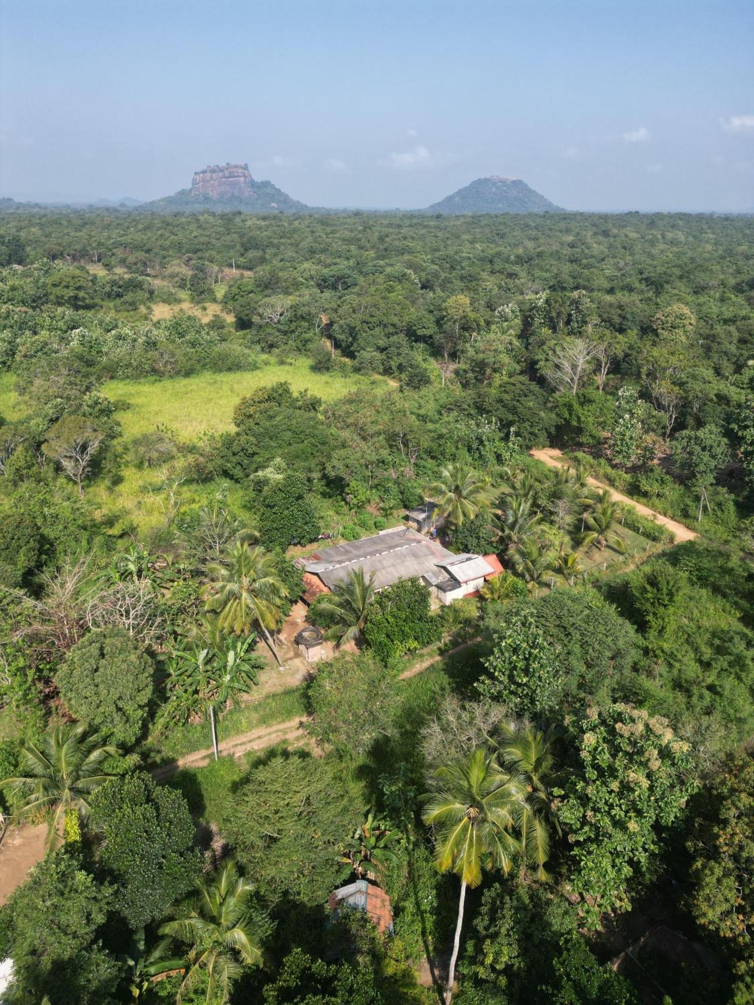 Jungle Eco Lodge & Safari Sigiriya Exterior foto