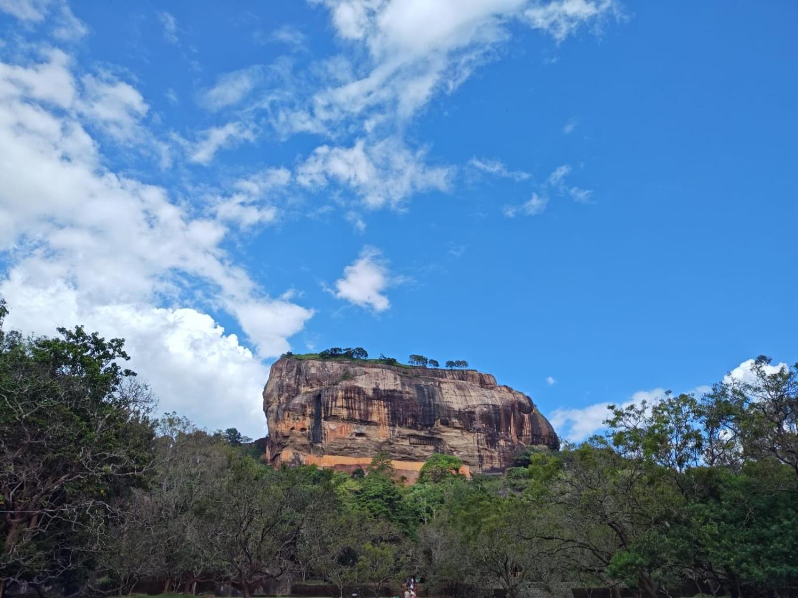 Jungle Eco Lodge & Safari Sigiriya Exterior foto